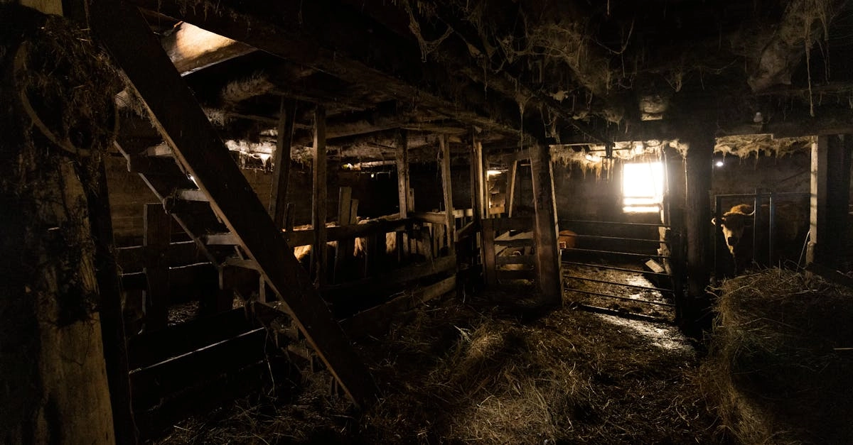 Таинственный цифровой амбар со скрытыми символами и кодами